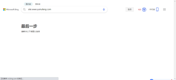 网站无法使用搜索引擎bing查询网站状态？